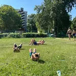 Apartamento Fesztivál Balaton Parti